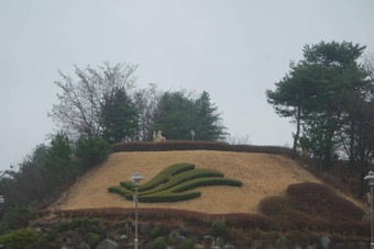 美丽的草切割形状小山