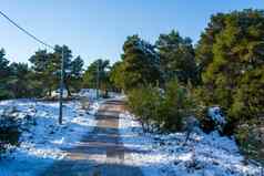 路冬天场景雪景观山森林帕尼萨希腊