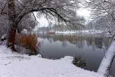 雪冬天景观宁静的河湖