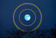 收获蓝色的月亮双你好前树晚上天空