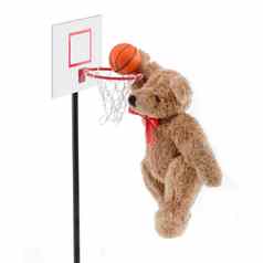 泰迪熊玩篮球扣篮球