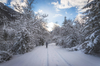 冬天景观<strong>自然小径</strong>雪树蓝色的天空