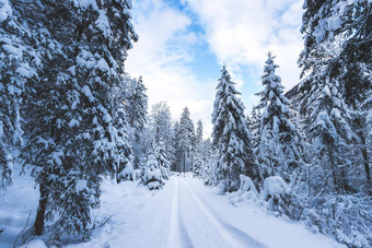 <strong>冬天景观</strong>自然小径雪树蓝色的天空