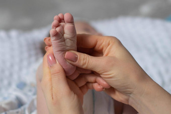 图片可爱的婴儿脚婴儿脚妈妈。手