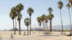 加州海滩审美人骑周期自行车路径模糊散焦背景娱乐公园码头手掌圣诞老人莫妮卡美国太平洋海洋度假胜地这些洛杉矶美国