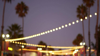 装饰盯着加兰灯棕榈树轮廓晚上天空模糊背景街装饰灯加州节日灯饰海滩聚会，派对热带假期概念
