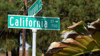 加州街路标志十字<strong>路口</strong>刻字十字<strong>路口</strong>路标象征夏季旅行假期美国旅游目的地文本站名牌城市这些洛杉矶路线
