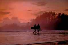 温哥华岛tofino日落海滩冲浪者海洋美丽的色彩斑斓的日落粉红色的紫色的颜色天空温哥华岛荡漾冲浪