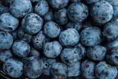 蓝莓清晰的塑料托盘黑色的背景前视图平躺