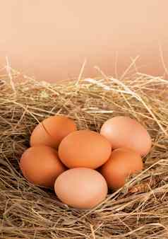 桩棕色（的）鸡蛋巢