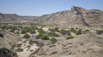 斯皮茨科普景观纳米布沙漠