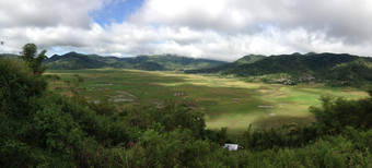 蜘蛛网络大米场全景