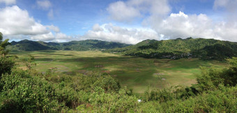 蜘蛛网络大米场全景