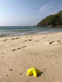 塑料海明星海滩