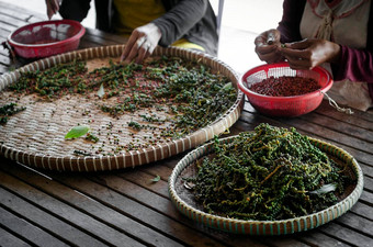 农场工人排序新鲜的胡椒花椒贡布柬埔寨