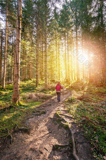 徒步旅行森林秋天时间女孩运动服装阳光温暖的颜色
