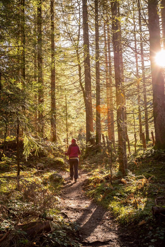 徒步旅行森林秋天时间女孩运动服装<strong>阳光</strong>温暖的颜色