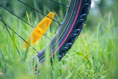 山自行车轮胎草地夏天一天自行车冒险