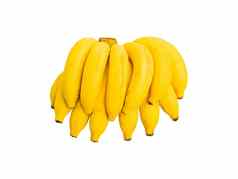 孤立的集团金香蕉生动的黄色的颜色甜蜜的水果食物甜点成分