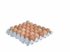 三十棕色（的）鸡蛋孤立的集团新鲜的鸡蛋纸托盘高蛋白质食物成分