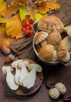 蘑菇牛肝菌属Edulis木背景关闭木乡村表格烹饪美味的有机蘑菇美食食物