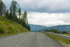 车路风景如画的高密度松树森林喀尔巴阡山脉山