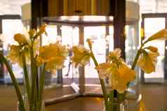 花瓶黄色的剑兰背景玻璃门公共区域游说团体