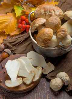 蘑菇牛肝菌属Edulis木背景关闭木乡村表格烹饪美味的有机蘑菇美食食物