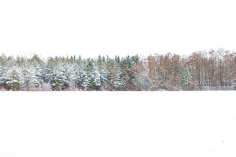 加拿大全景雪覆盖树超现实主义雪