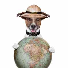 旅行全球指南针狗Safari资源管理器