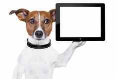 平板电脑狗