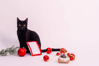 黑色<strong>的猫照片</strong>框架圣诞节球圣诞节礼物白色背景