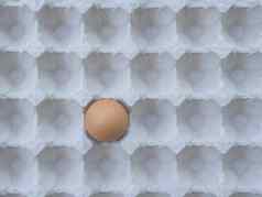 单棕色（的）鸡蛋前视图新鲜的鸡蛋纸托盘高蛋白质食物成分