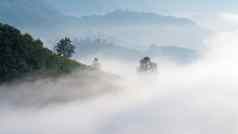 全景视图令人惊异的雾移动自然山日出山区域泰国