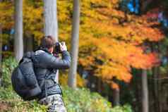 景观摄影师景观视图色彩鲜艳的枫木离开阳光明媚的天空《京都议定书》日本照片概念旅行摄影师工作网站旅游相机