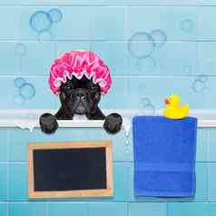 狗淋浴