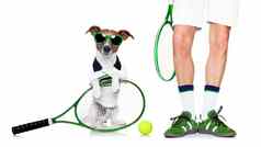狗网球球球员