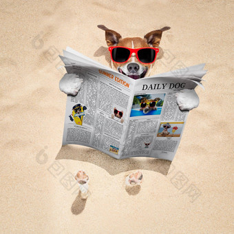 狗海滩读取报纸