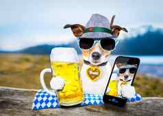 巴伐利亚啤酒狗自拍