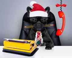 狗办公室工人圣诞节假期