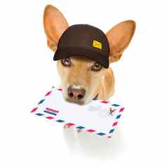 狗邮件交付邮政帖子男人。