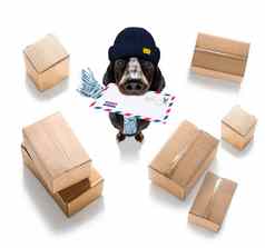 狗邮件交付邮政帖子男人。