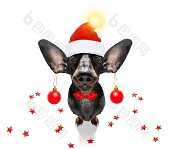 圣诞节圣诞老人老人狗圣诞节球装饰物挂耳朵