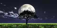 树晚上完整的月亮渲染