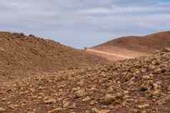 旅游电自行车Fuerteventura自然小道Corralejo死的Jable夏天