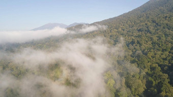 热带<strong>景观</strong>热带雨林山