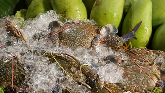 新鲜的木瓜<strong>螃蟹</strong>沙拉群成熟的木瓜生冷藏<strong>螃蟹</strong>传统的泰国喜欢那里辣的沙拉冰
