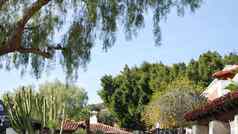 墨西哥殖民风格郊区拉美裔房子外绿色郁郁葱葱的花园三迭戈加州美国地中海Terracotta陶瓷粘土瓷砖屋顶乡村西班牙语平铺的屋顶农村细节