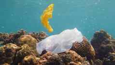 珊瑚礁被污染的塑料袋