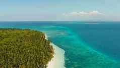 热带岛桑迪海滩巴拉巴克巴拉望省菲律宾